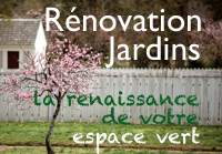 Rénovation Jardins